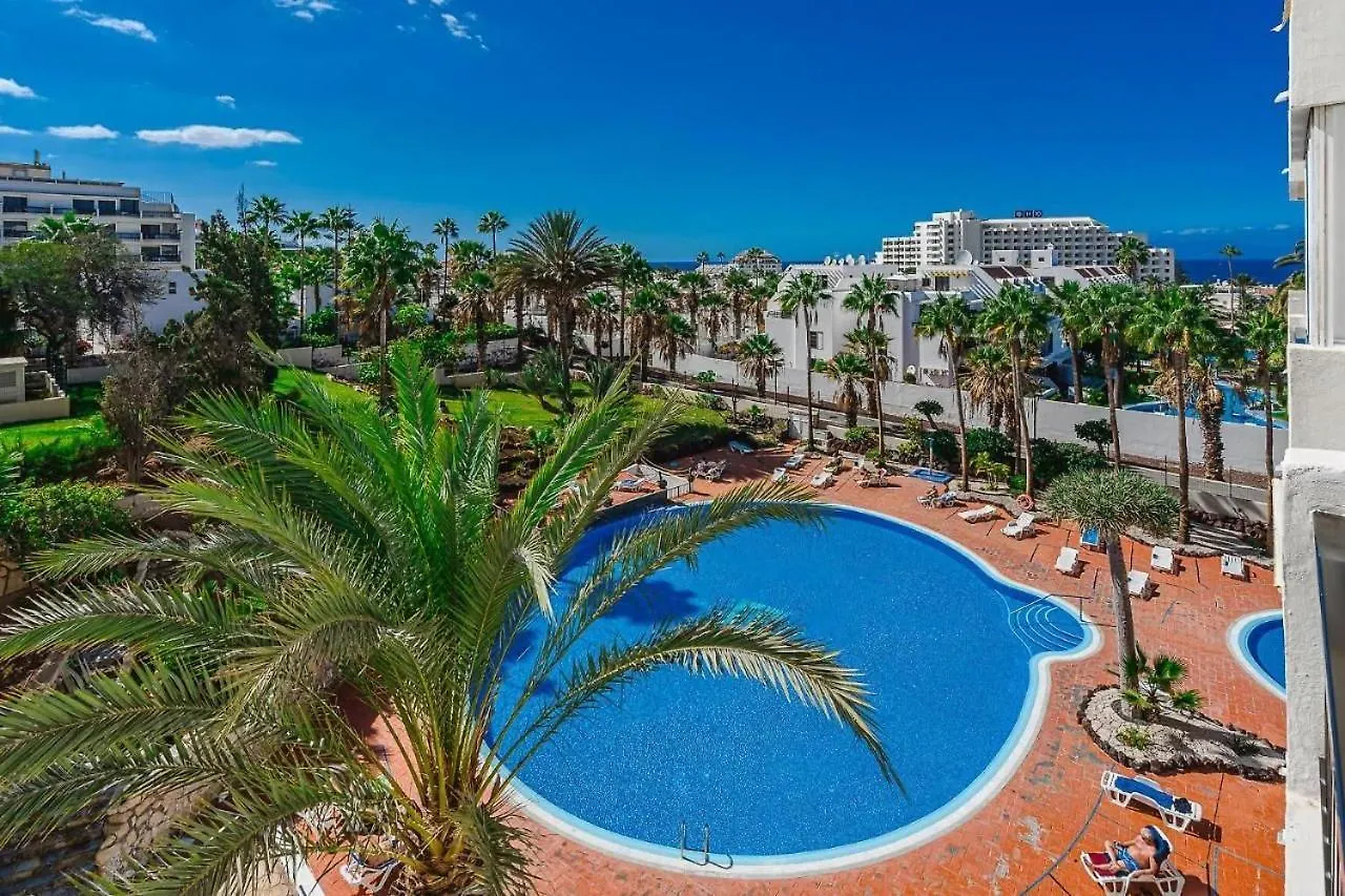Аpartment 1 Bedroom Center Of Las Americas El Dorado Playa de las Americas  Spagna